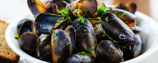 A plate of mussels in Oban